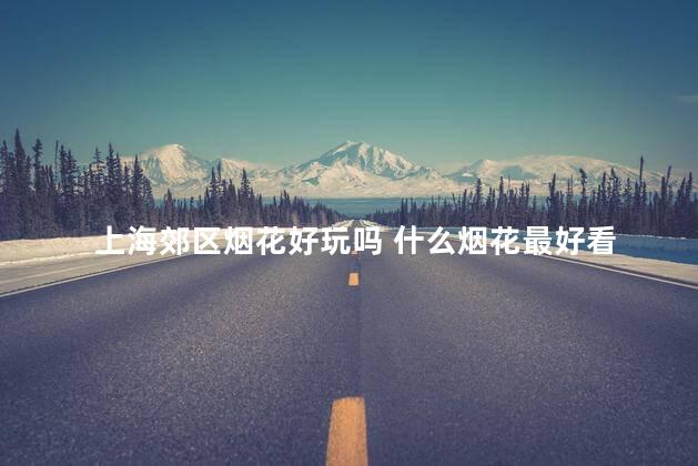 上海郊区烟花好玩吗 什么烟花最好看